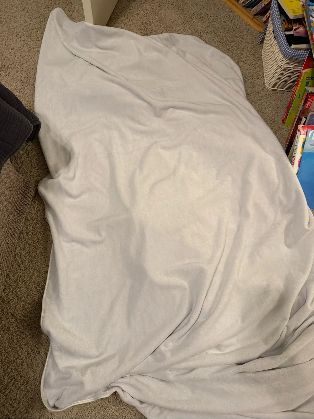 Restoration Hardware white fuzzy-thin size full/queen size blanket